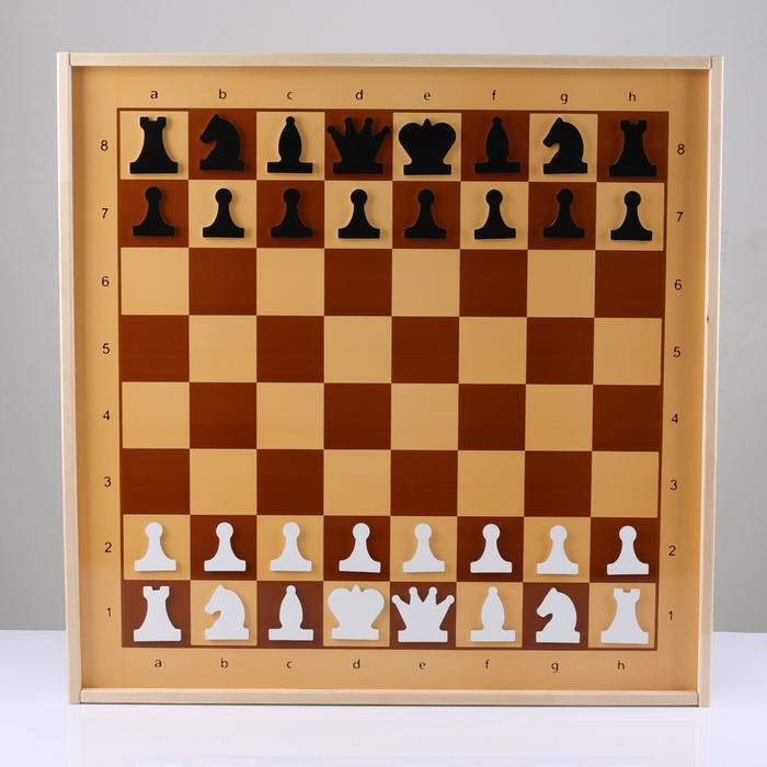 Демонстрационные шахматы и шашки магнитные, поле 70 х 70 см  #1