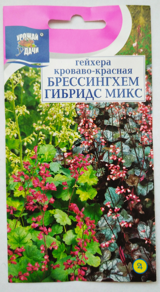 Гейхера Брессингехем Гибридс Микс 0,05гр #1