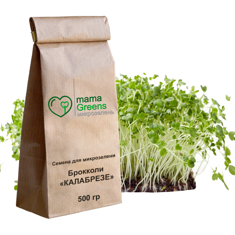 Семена Брокколи Калабрезе 500 гр - весовые семена для выращивания микрозелени и проращивания в домашних #1