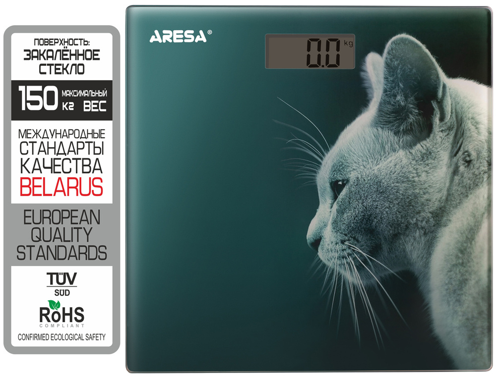 Напольные весы ARESA AR-4412, бирюзовый #1