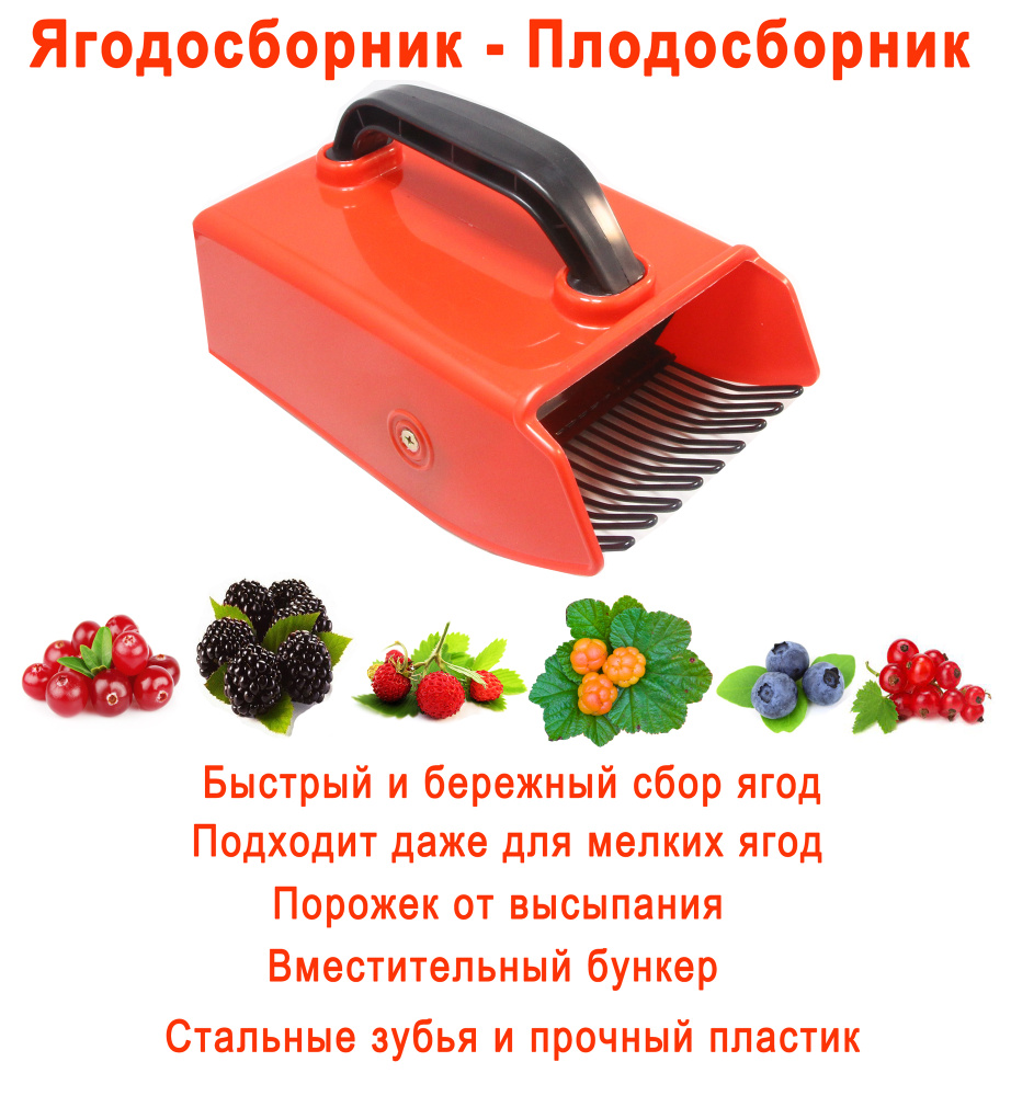 Как сделать комбайн для сбора ягод | Садоводство, Советы для огорода, Ягоды