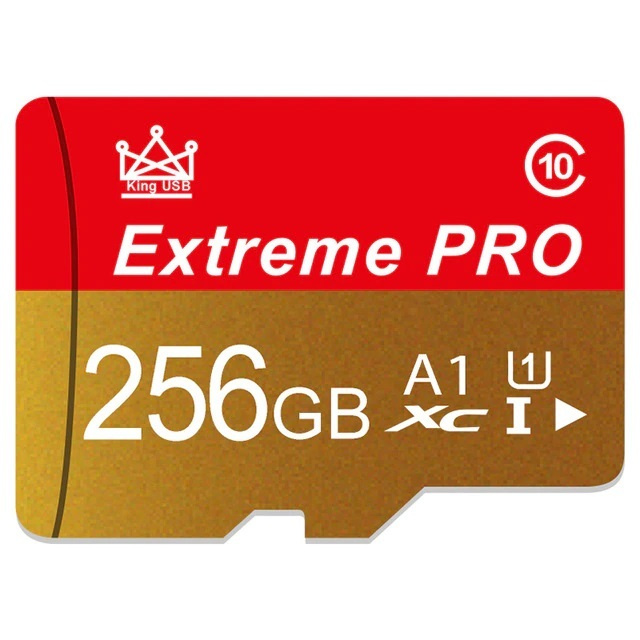 Extreme PRO 256 GB Карта памяти #1