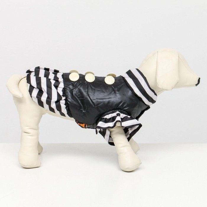Курточка для собак с воланами, размер 4, чёрная, 1 шт. #1