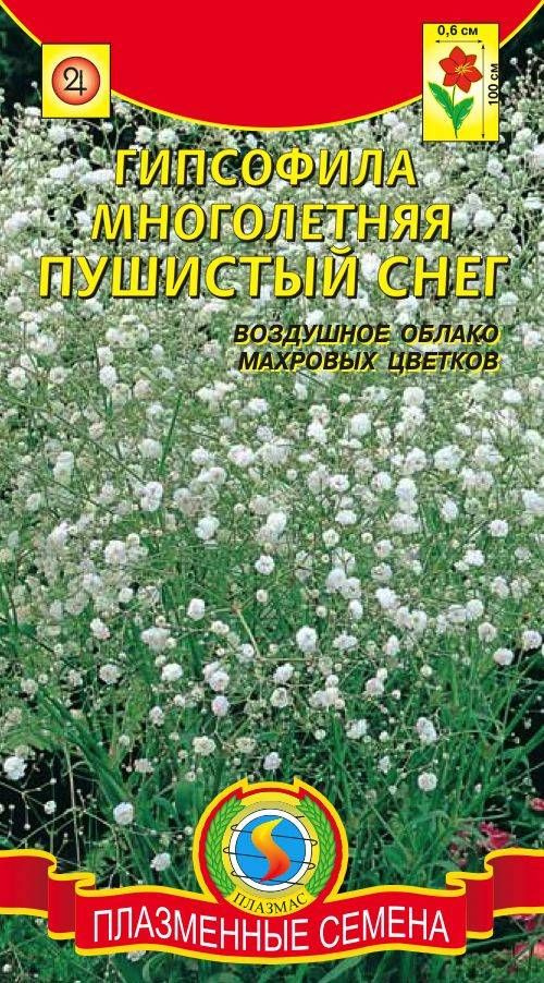 Гипсофила многолетняя "Пушистый снег" ПЛ #1