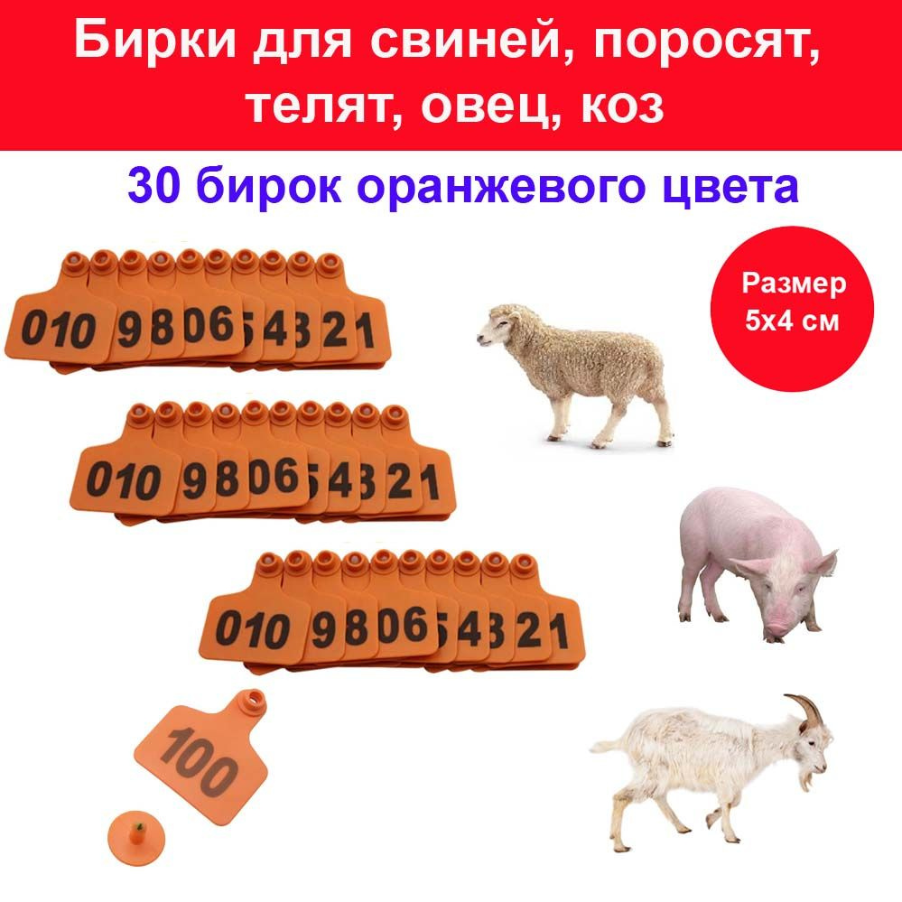 Бирки в уши для овец, баранов, коз, свиней, поросят, телят, МРС, КРС - 30 ушных бирок оранжевого цвета #1