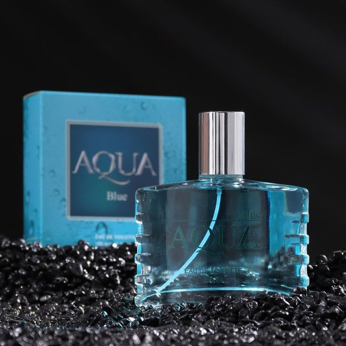 Туалетная вода мужская Aqua Blue, 100 мл #1