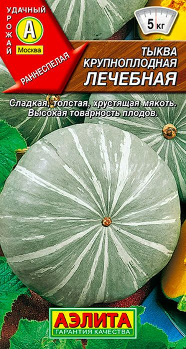 Семена Тыква крупноплодная Лечебная (2г) - Аэлита #1