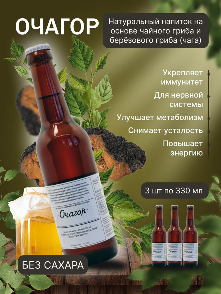 БАД Очагор, 3 шт. (напиток без сахара: комбуча, kombucha, чайный гриб, чага)  #1