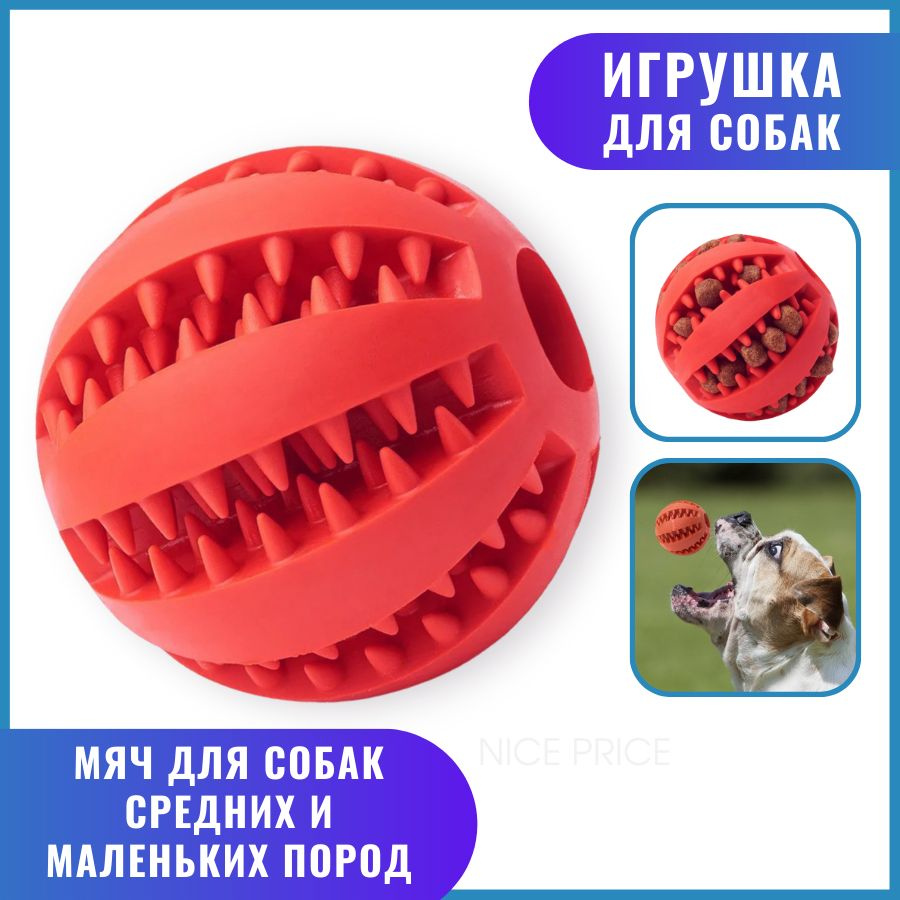 NATION PRIDE Жевательная резиновая игрушка для собак мяч 5 см, красная  #1