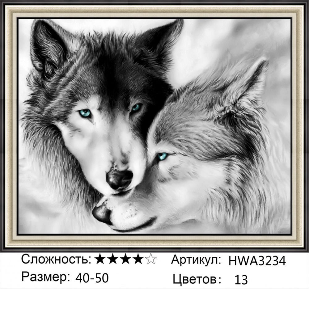 Алмазная мозаика 40х50см на подрамнике. Пара волков с голубыми глазами. Животные.  #1