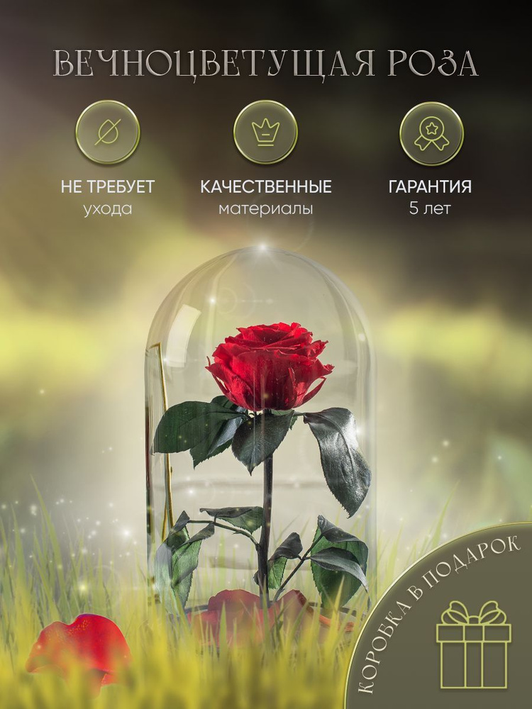 Роза в колбе живая, вечная, стабилизированная "PR-M" 27см, подарок маме, женщине, на 8 марта , на день #1