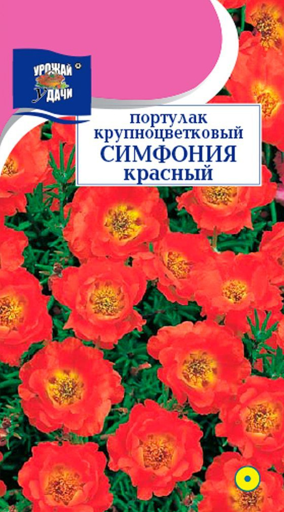 Портулак крупноцветковый СИМФОНИЯ КРАСНЫЙ (Семена УРОЖАЙ УДАЧИ, 0,05 г семян в упаковке)  #1