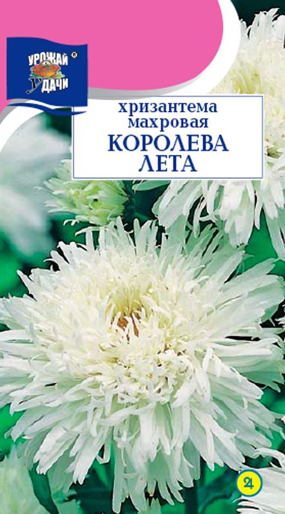 Хризантема многолетняя КОРОЛЕВА ЛЕТА (Семена УРОЖАЙ УДАЧИ, 0,03 г семян в упаковке)  #1