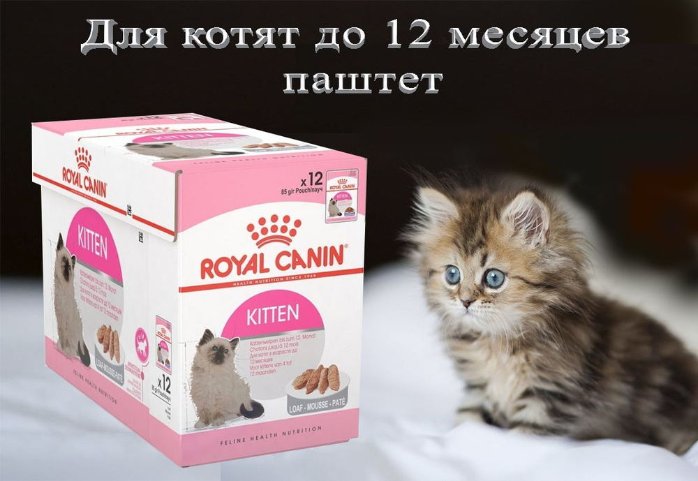 Royal Canin Kitten влажный корм для котят до 12 месяцев, паштет 85г х 12шт  #1