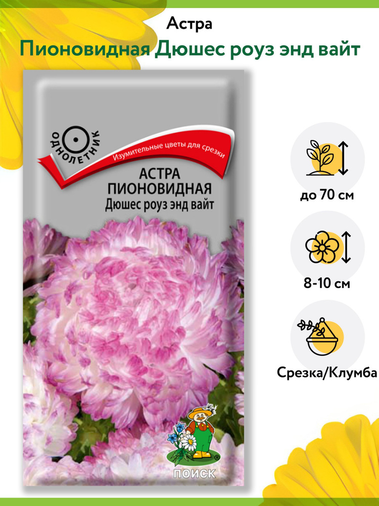 Астра Пионовидная Дюшес роуз энд вайт (1 упаковка - 0,3 г). Семена однолетних цветов для сада, клумбы, #1