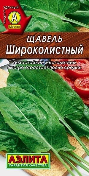 ЩАВЕЛЬ Широколистный. Семена. Вес 0,5 гр. Многолетник, на одном месте выращивается 4-5 лет. Аэлита  #1