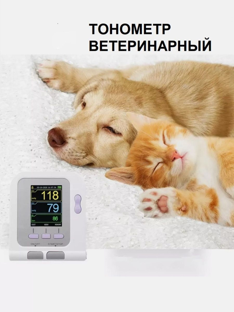 Тонометр Ветеринарный Для Кошек #1