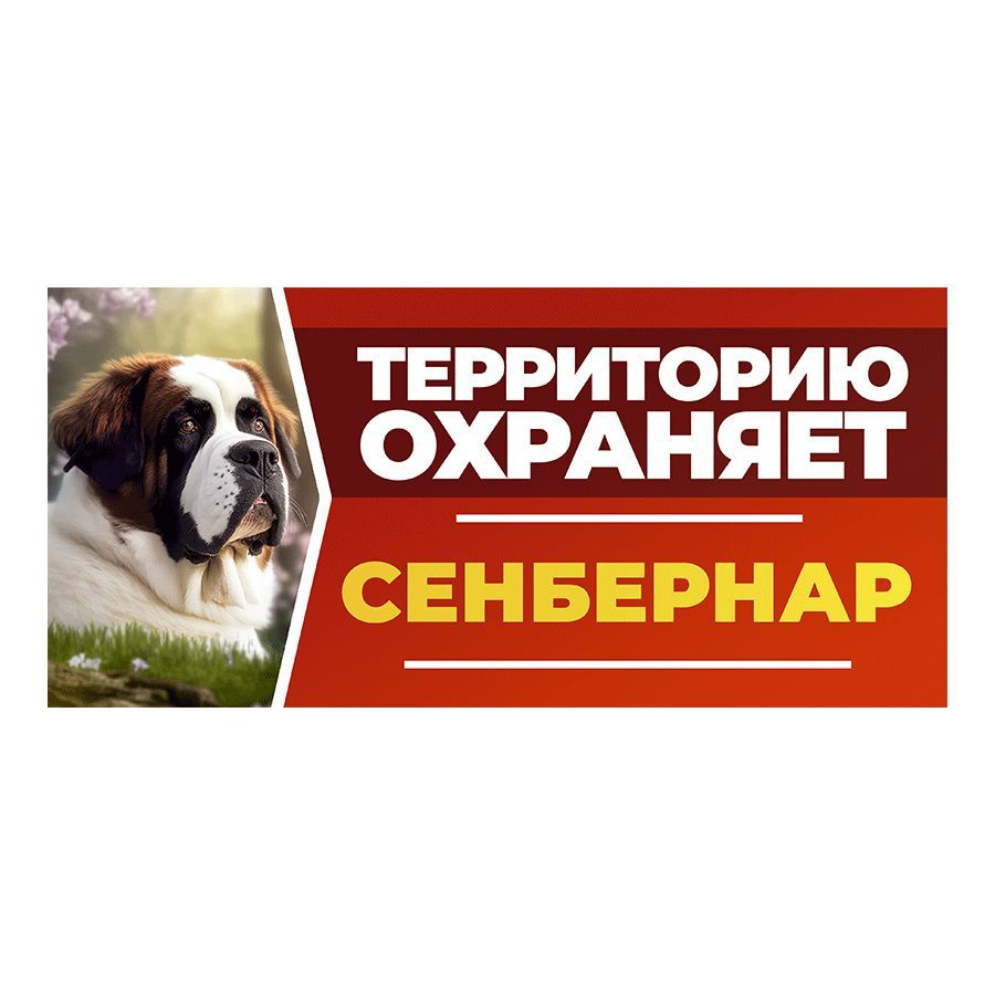 Табличка, DANGER DOG, Сенбернар, на забор, 30см х 14см #1