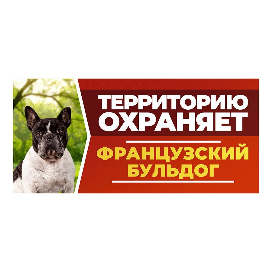 Табличка, DANGER DOG, Французский бульдог, на забор, 30см х 14см  #1