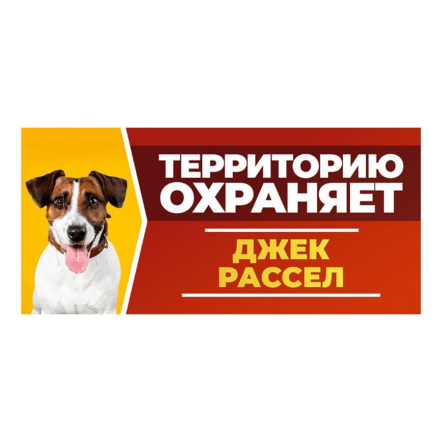 Табличка, DANGER DOG, Джек рассел, на забор, 30см х 14см #1