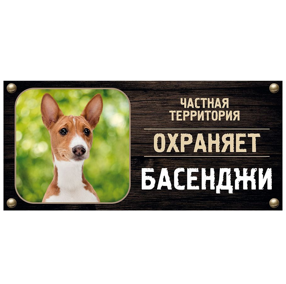 Табличка, Злая собака, Территорию охраняет Басенджи, на металлической основе, 30см х 14 см, на забор, #1