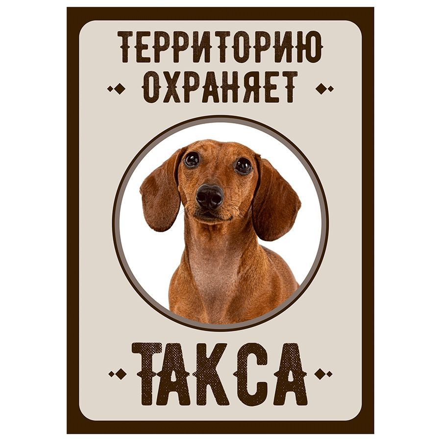 Табличка, Злая собака, Территорию охраняет Такса, на металлической основе, 18см х 25 см, на забор, на #1