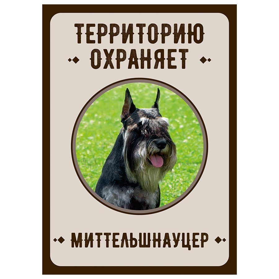 Табличка, Злая собака, Территорию охраняет Миттельшнауцер, на металлической основе, 18см х 25 см, на #1