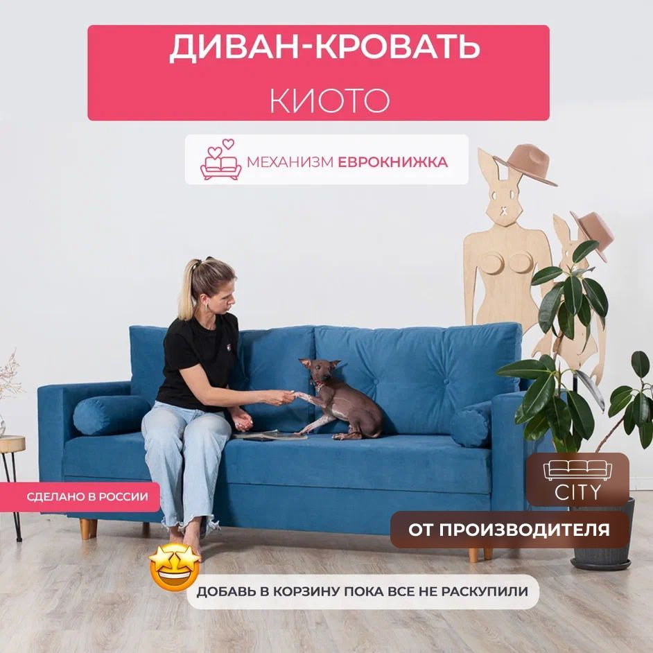 Раскладной диван кровать, механизм еврокнижка, 220х96х85 см  #1