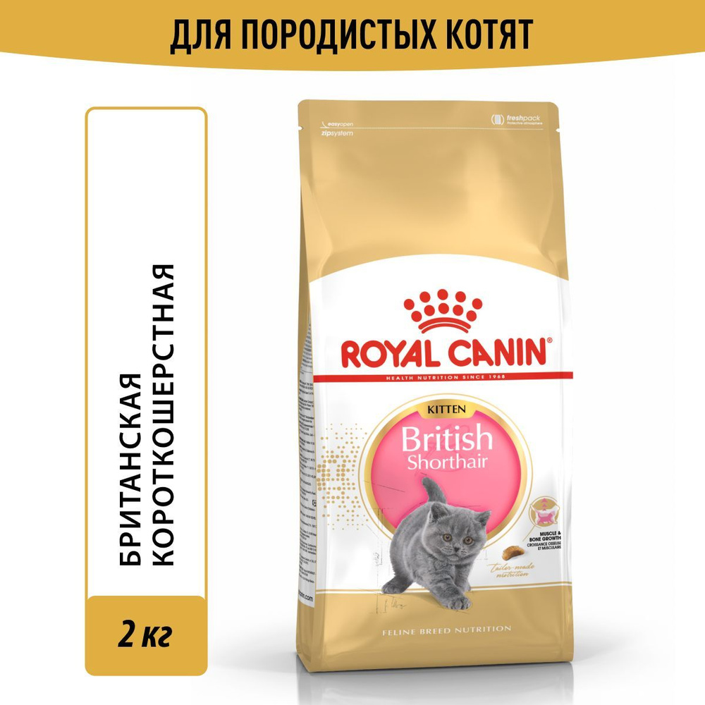 Royal Canin корм для котят породы Британская короткошёрстная2  #1