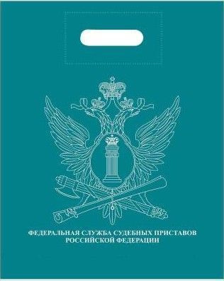 Пакет подарочный ФССП РФ 40х50 бирюзовый - 5 шт. #1