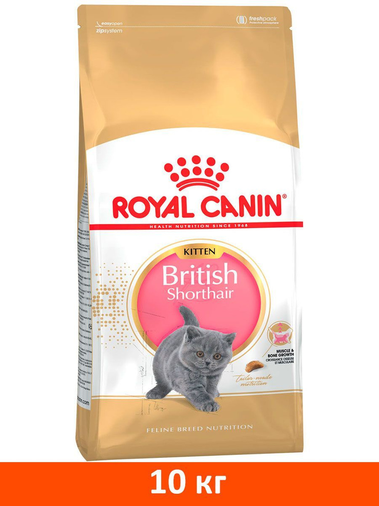 Сухой корм ROYAL CANIN BRITISH SHORTHAIR KITTEN 34 для британских короткошерстных котят (10 кг)  #1