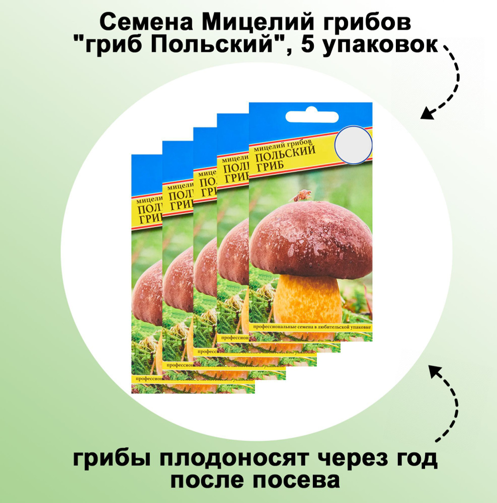 Семена Мицелий грибов "гриб Польский", 5 упаковок: отлично растет на приусадебном участке. Высаживают #1