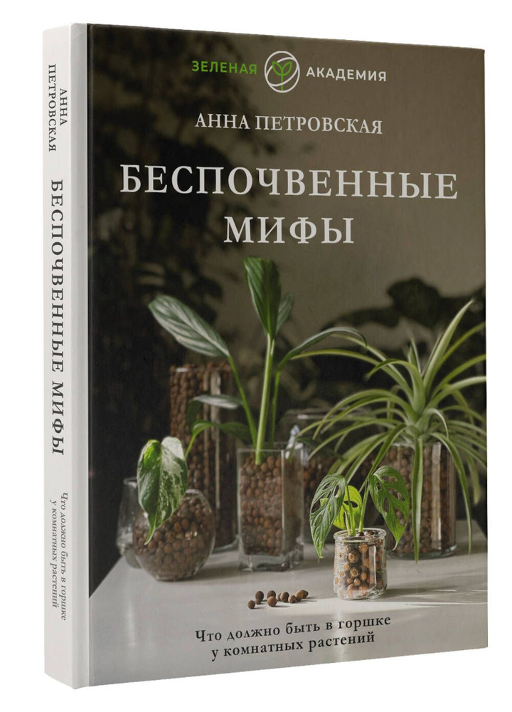 Что должно быть в горшке у комнатных растений. Беспочвенные мифы | Петровская Анна Вячеславовна  #1