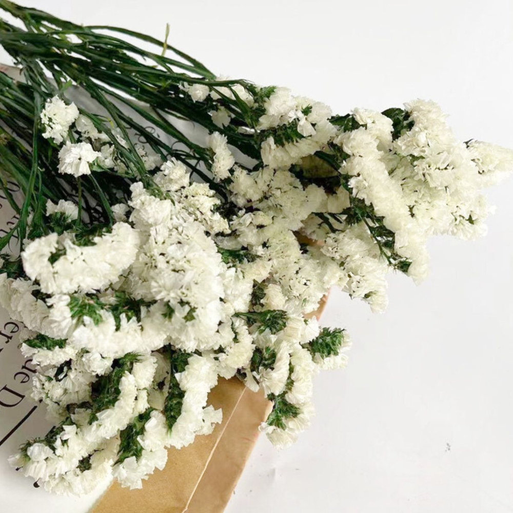 Стабилизированные цветы Статица, Лимониум, 45 см, 50 гр, 1 шт  #1