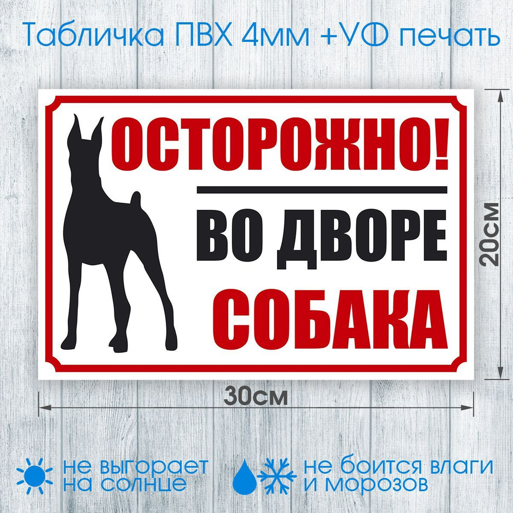 Табличка "ОСТОРОЖНО! Во дворе злая собака" №002 30х20см (пластик ПВХ, УФ печать, скотч)  #1