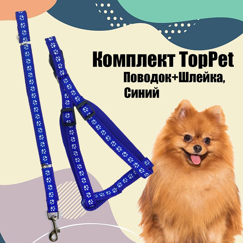 Комплект TopPet Нейлон Поводок+Шлейка, Синий с рисунком #1