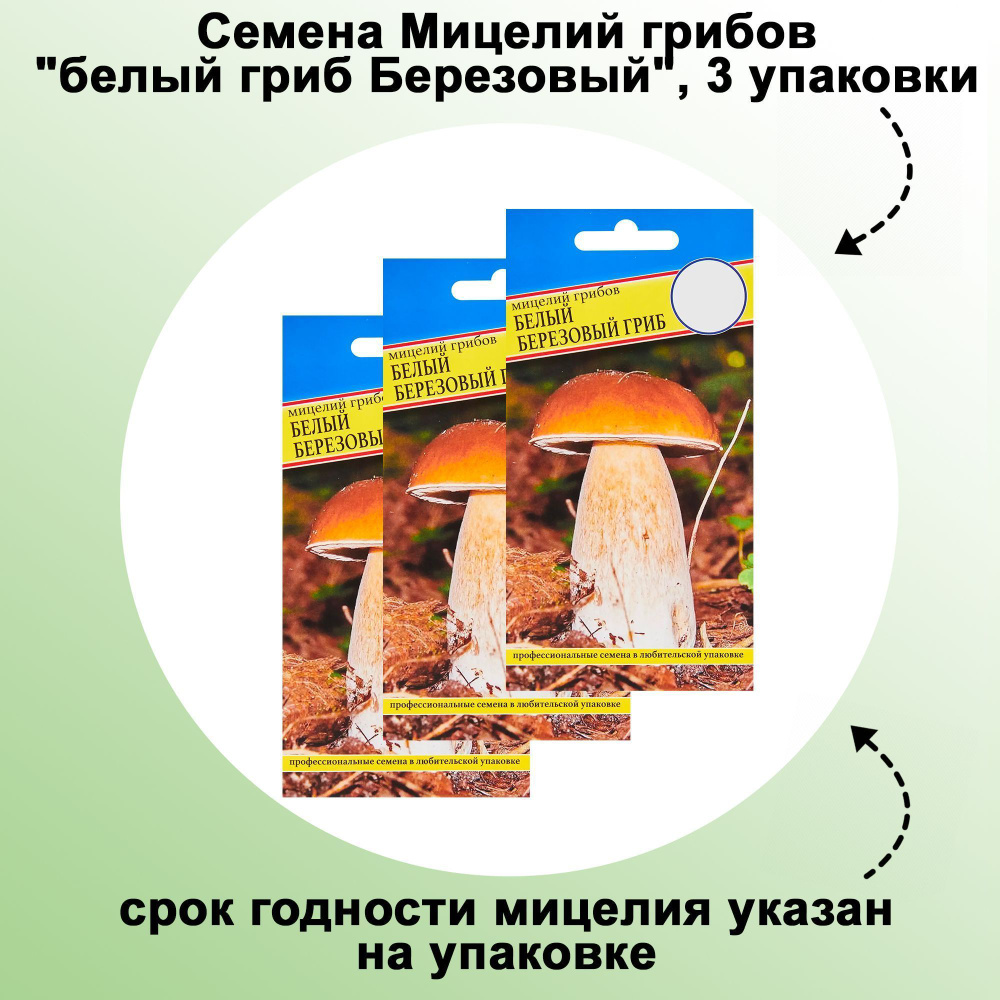 Семена Мицелий грибов "белый гриб Березовый", 3 упаковки: предназначен для высаживания на приусадебном #1