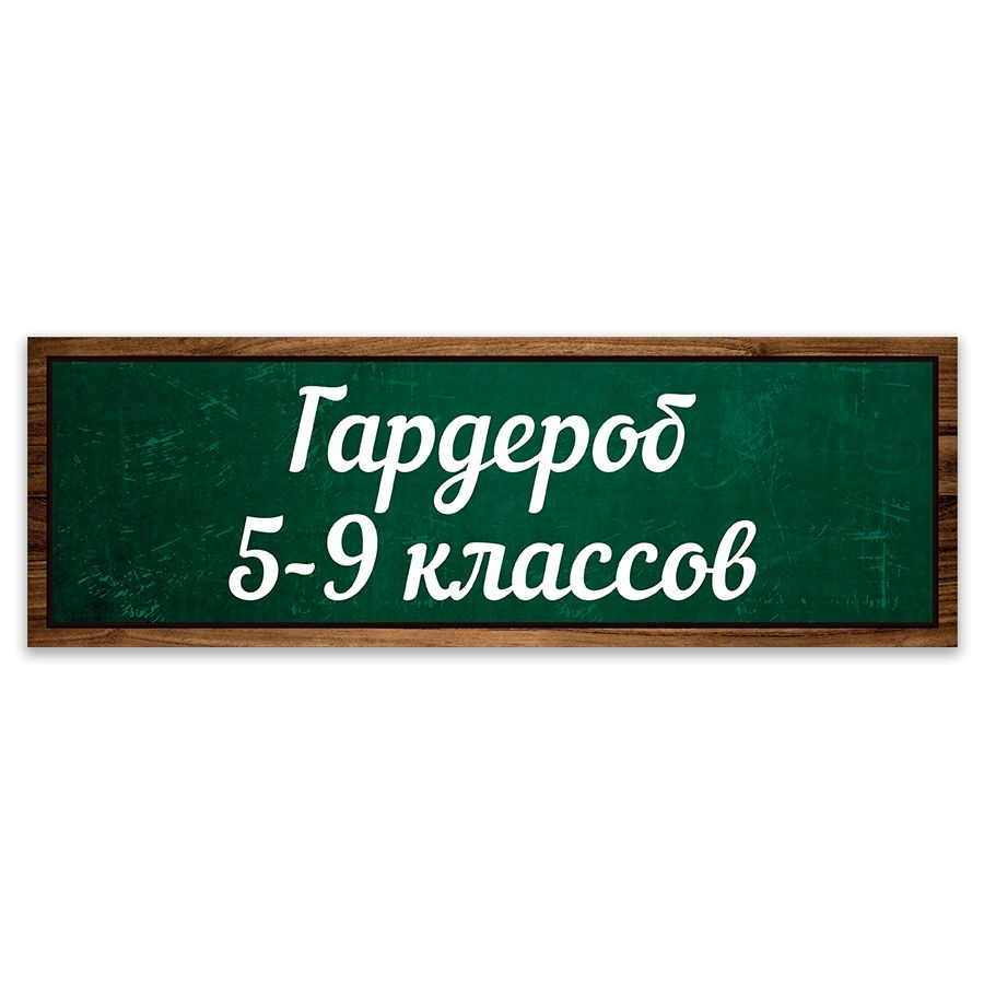 Табличка, Дом стендов, Гардероб 5-9 классов, 30 см х 10 см, в школу, на дверь  #1