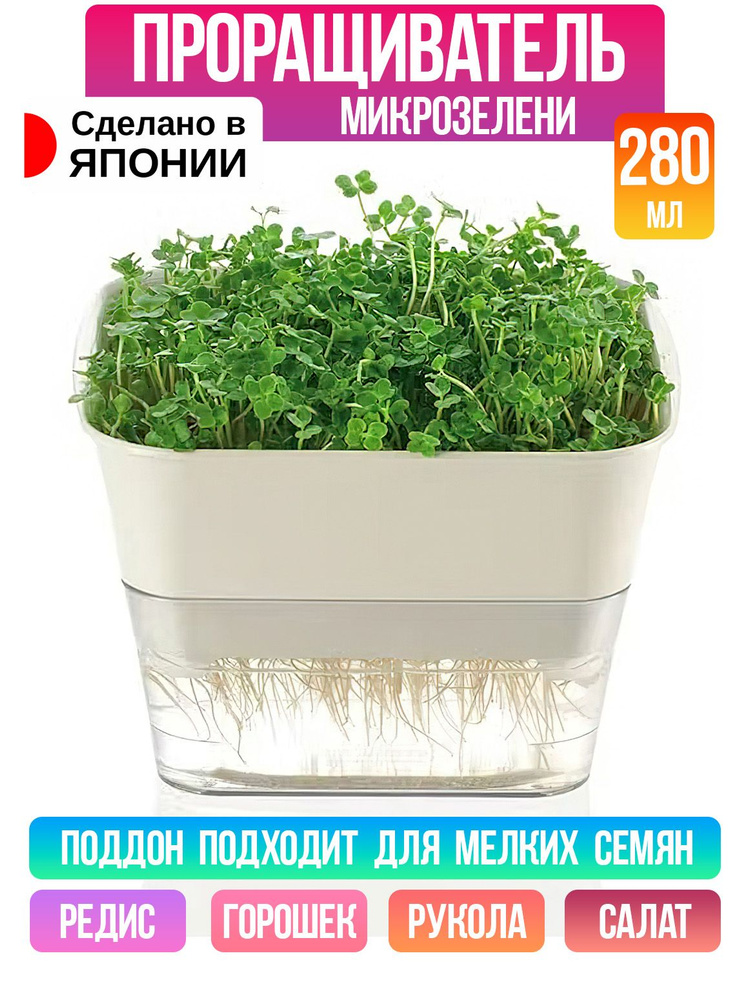 Контейнер для выращивания микрозелени 12,7х12х8,5 см, 280 мл #1