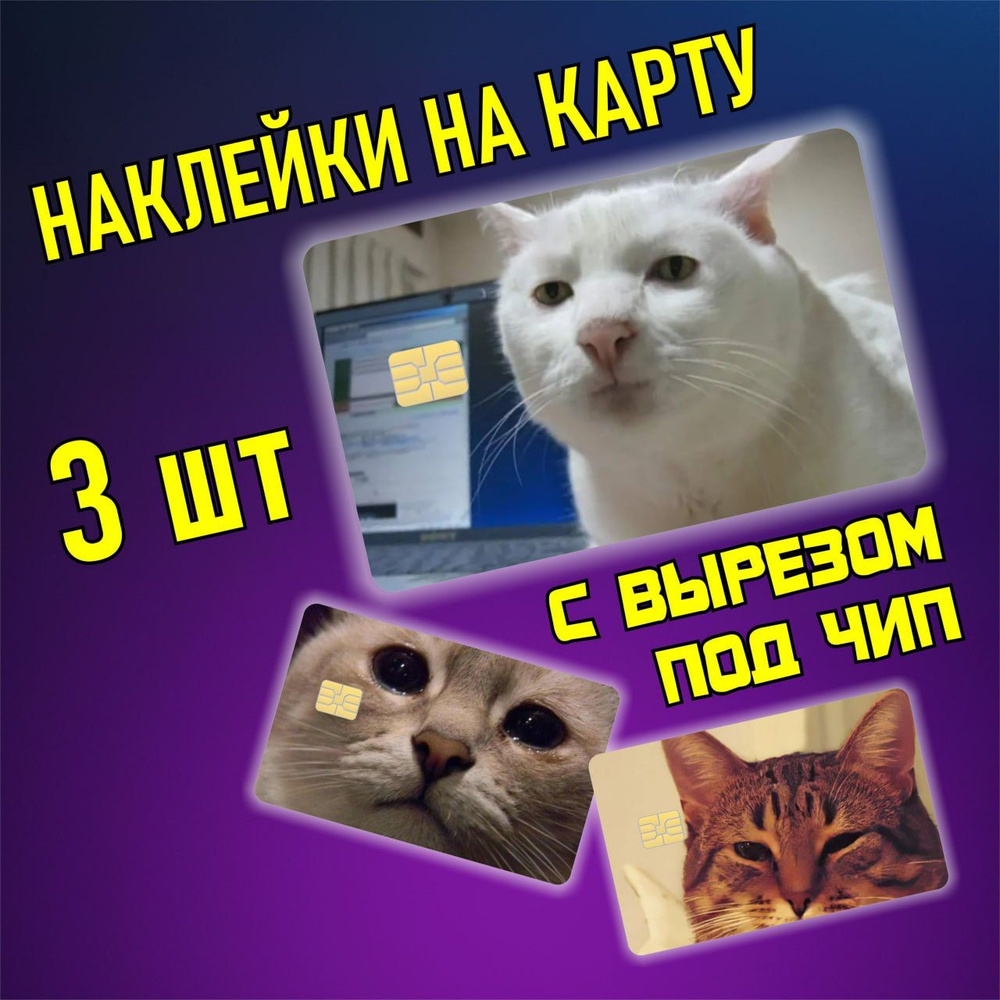 наклейка на банковскую карту милый и грустный кот мем #1