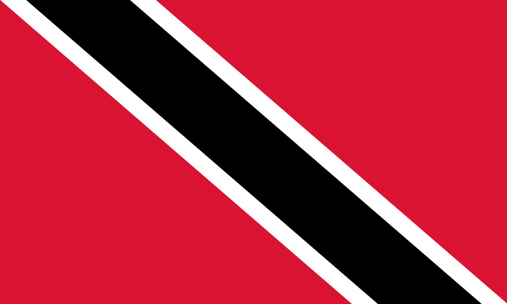 Флаг Тринидад и Тобаго 40х60 см с люверсами #1