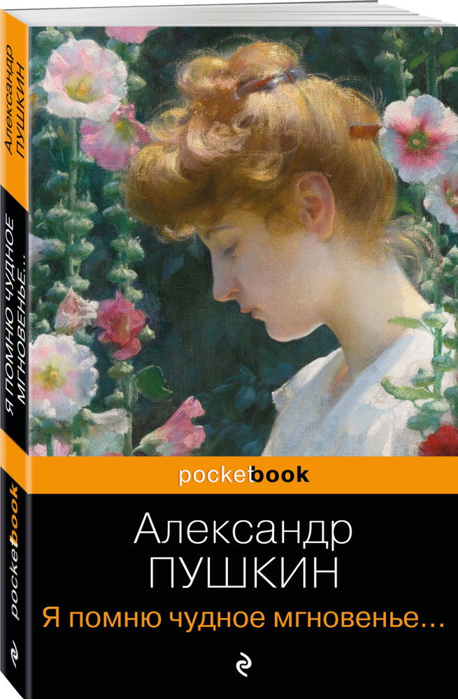 Я помню чудное мгновенье... Стихотворения | Пушкин Александр Сергеевич  #1