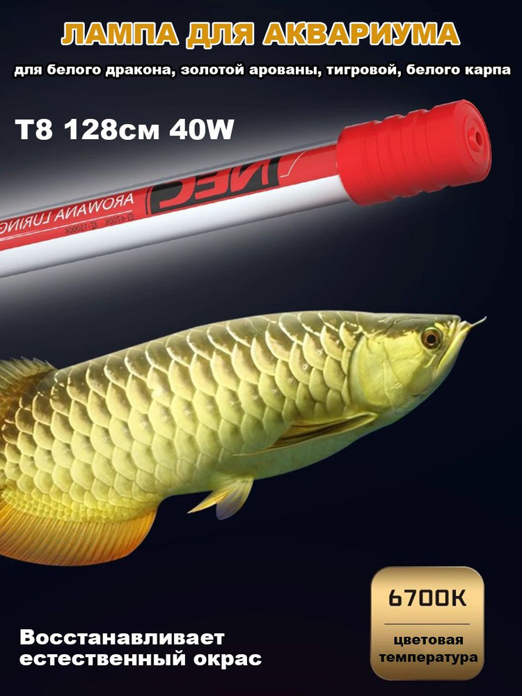 Лампа светильник для аквариума T8 6700K 128см 40W, освещение для усиление белого и золотого окраса рыб #1