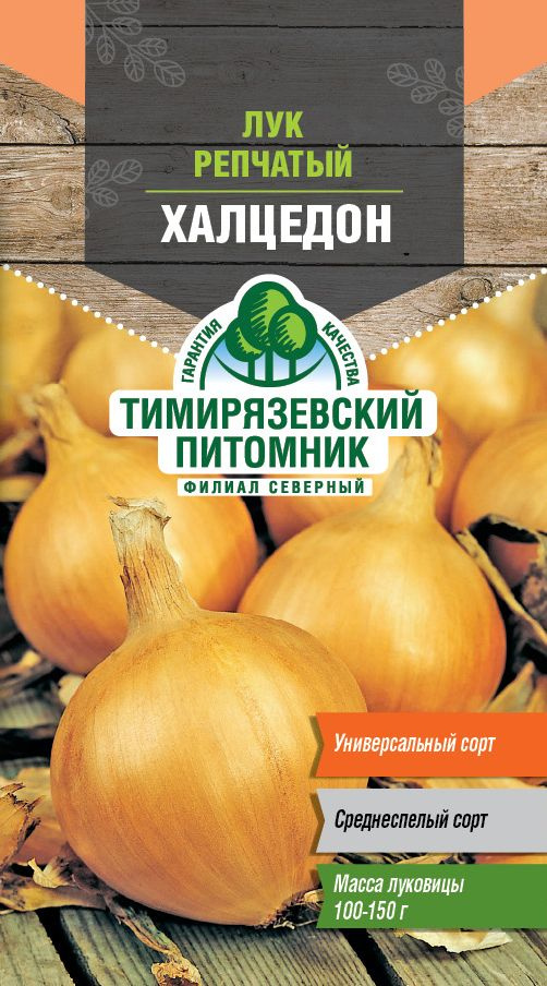 Семена Тимирязевский питомник лук Халцедон средний 0,5г  #1