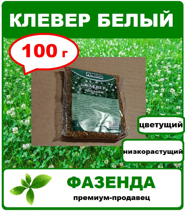 Семена клевер белый 100г. газон ползучий. Фазенда Сибири.  #1