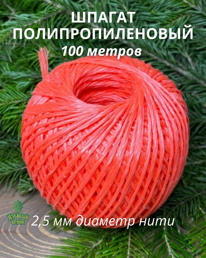 Дубовый Веник Шпагат крепежный 100 м, 2.5 мм, 45 кгс, Полипропилен  #1