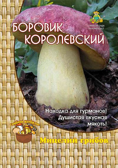 Гриб Боровик королевский (1 уп - 60 мл). Мицелий грибов. Агрохолдинг "Поиск"  #1