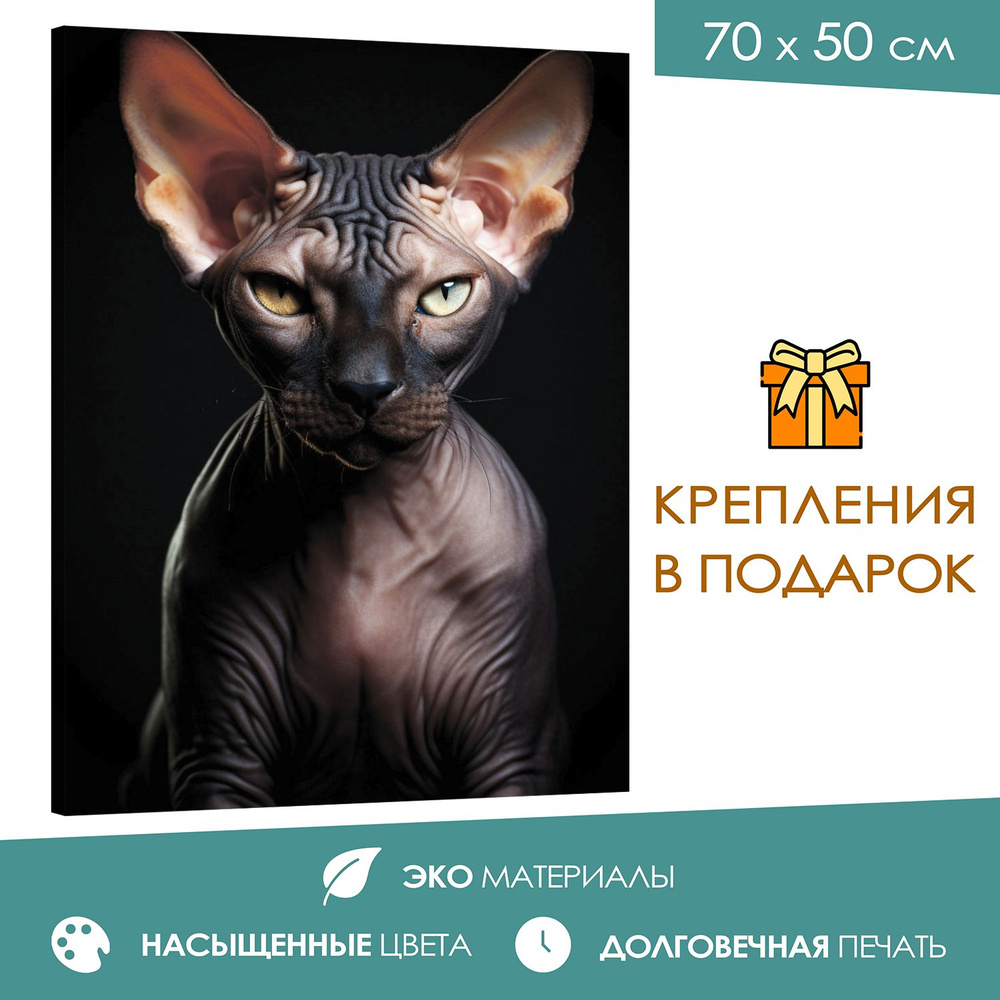 365home Картина "Кошка-сфинкс: голая красота", 70  х 50 см #1