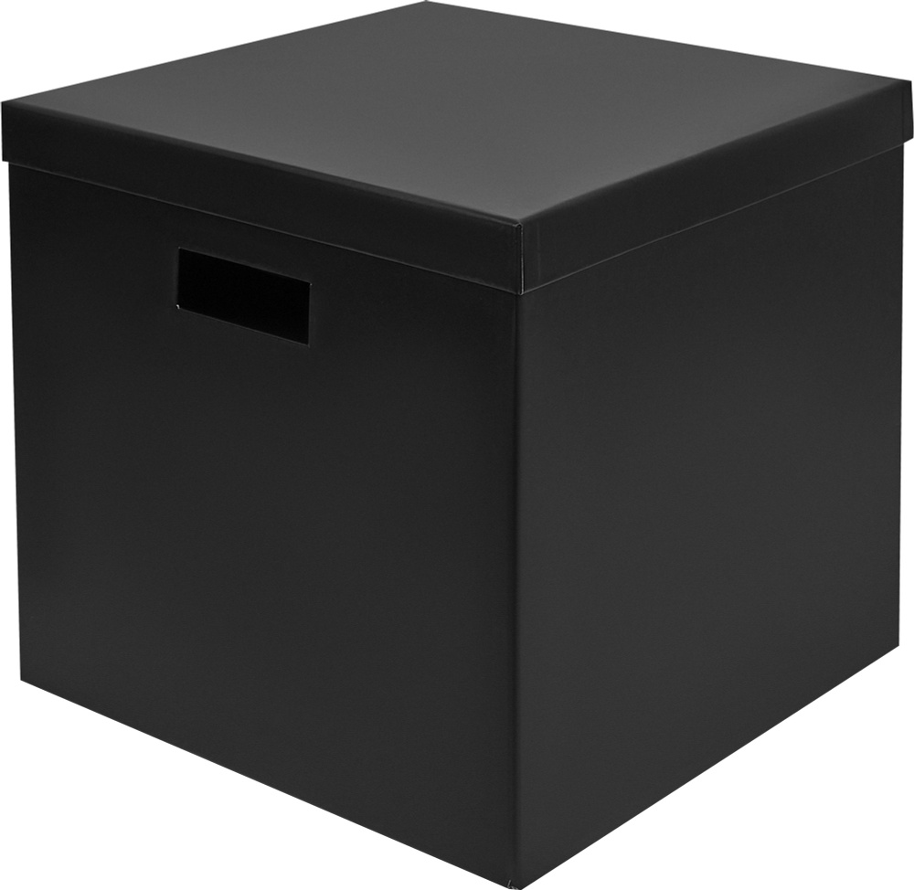 STORIDEA Коробка для хранения длина 31 см, ширина 31 см, высота 31 см.  #1