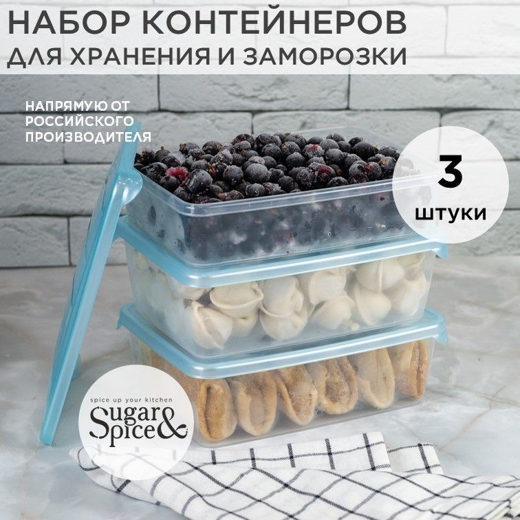 Набор контейнеров для заморозки продуктов 3 шт Sugar&Spice, голубой, 3 х 0,9л прямоугольные, 204х140х83 #1